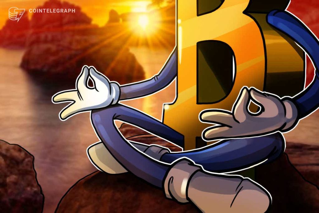 31369 willy woo peak fear but on chain metrics say its not a bear market