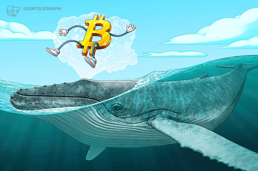 36771 biggest future btc whale explains why bitcoin was chosen for decentralized forex reserve