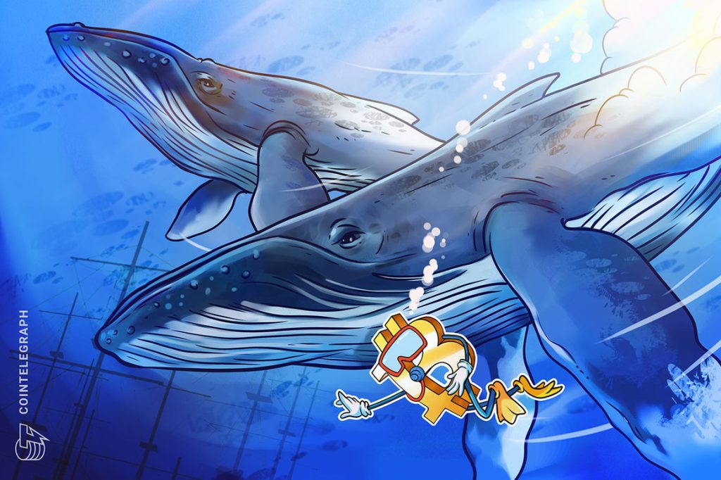 43229 bitcoin whales still hibernating as btc price nears 21k