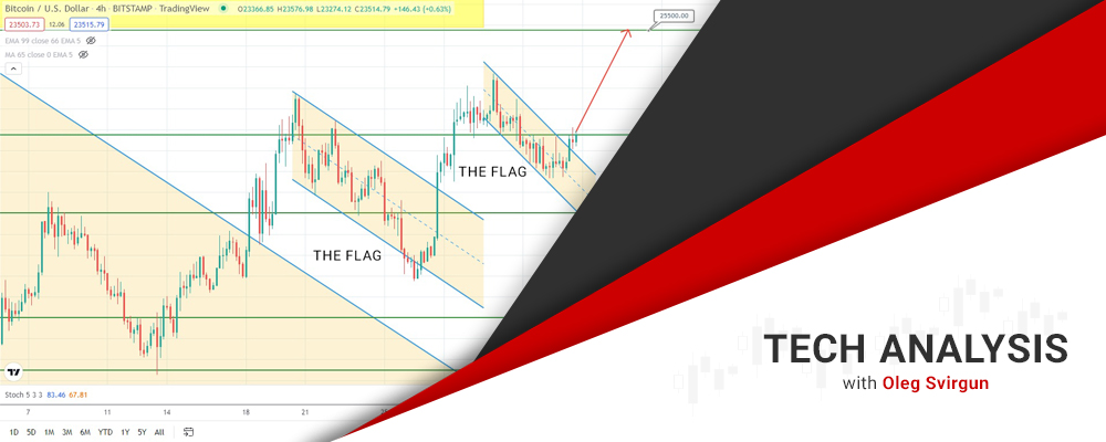 44929 bitcoin and gold are on the rise