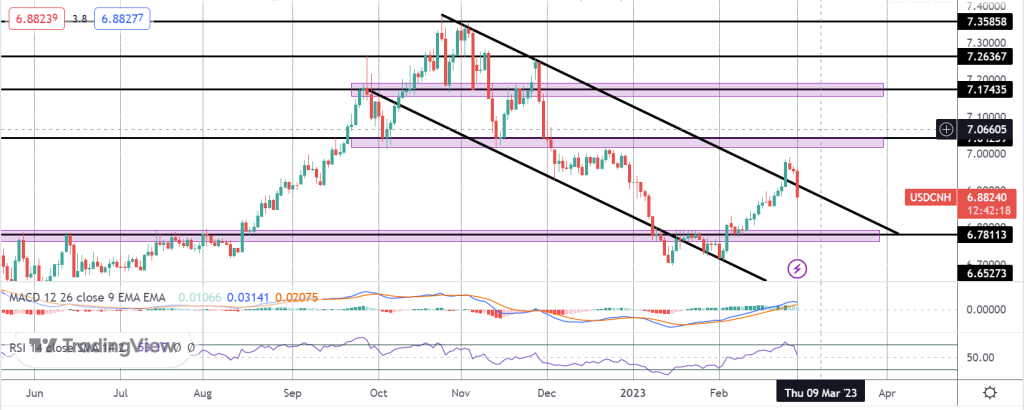 china factory data surges higher in february