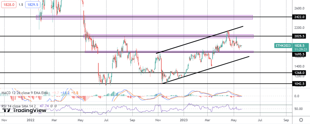 eth whale activity stokes bulls excitement