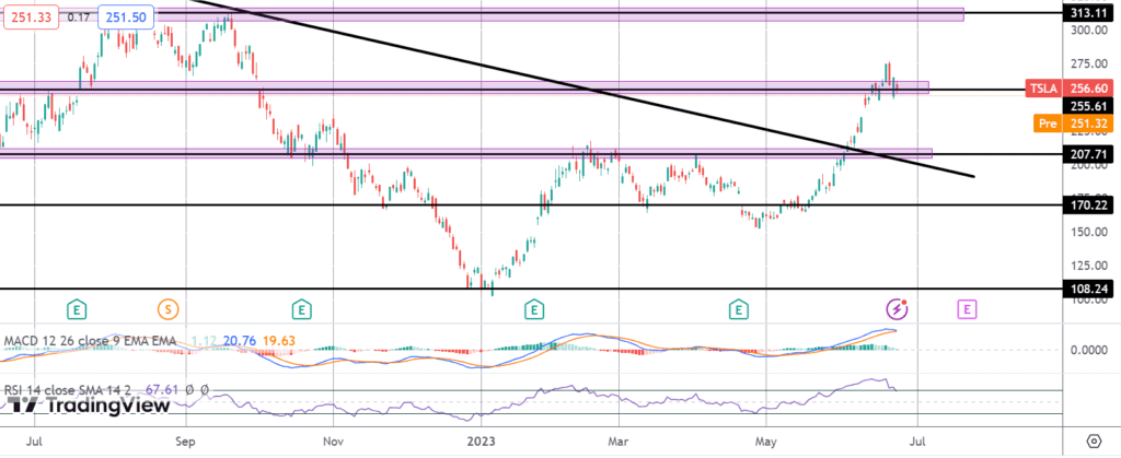tesla falls on goldman downgrade