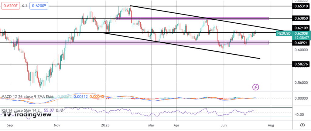 rbnz pauses after 12 consecutive hikes