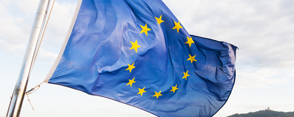 eurozone inflation plummets euro and pound drop amid elevated ecb rate cut expectations