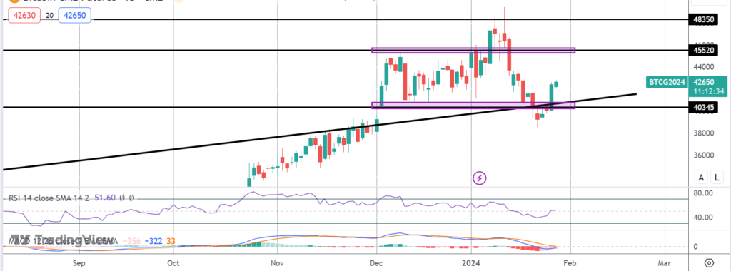 bitcoin bouncing back on monday fed ahead