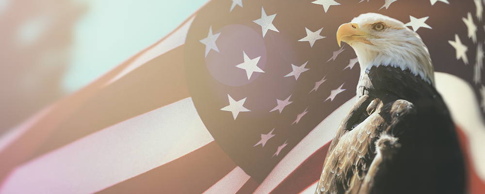 divergence persists between us and euro area economies