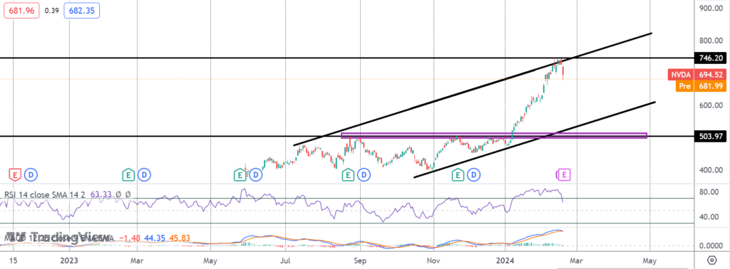 traders-brace-for-nvidia-earnings-following-price-crash